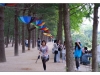 Korea - Day 13 - Nami Seom - 15